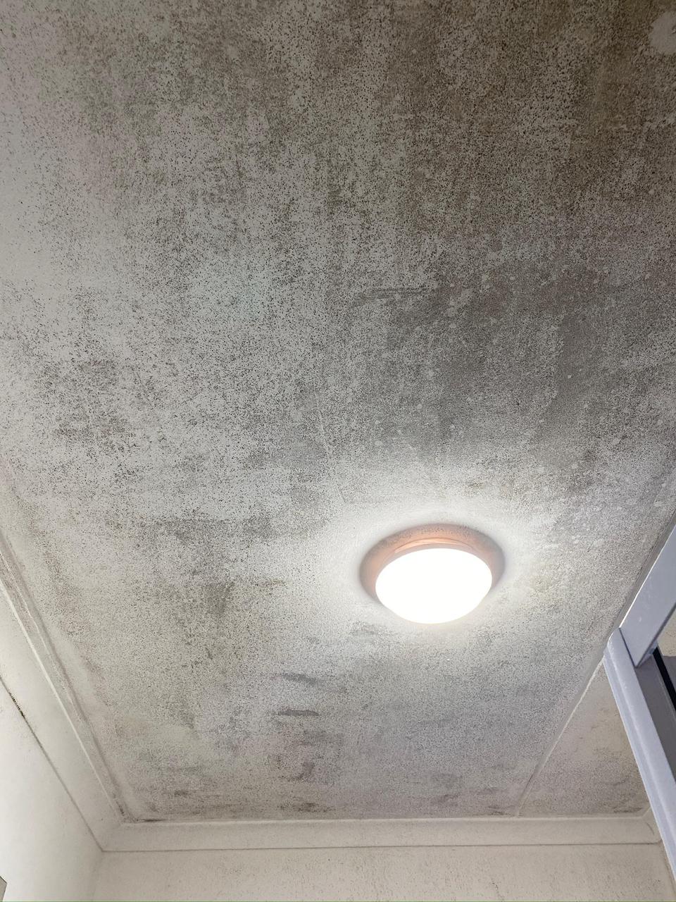 Professional Cleaning Services